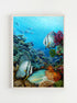light wood framed original painting great barrier reef batfish wall art print